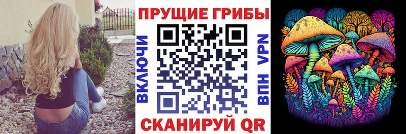 Псилоцибиновые грибы Psilocybe  Бородино 
