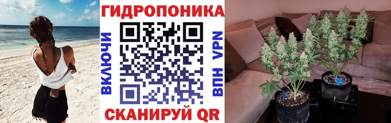 Бошки Шишки индика  Бородино 